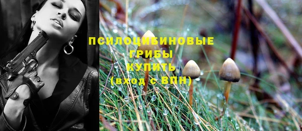 дживик Абинск
