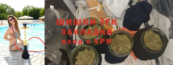 дживик Абинск